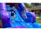 Llama bounce house rental in Houston with dual water slides, ideal for Sugar Land parties with up to 10 kids.