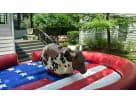 Mechanical bull rental in Dallas with real cowhide construction, ideal for Frisco parties and adult events.