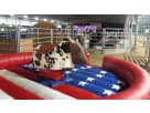 Mechanical Bull Party Rental