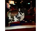 Mechanical bull with real cowhide saddle at a Houston event venue rental, ideal for parties accommodating up to 30 riders per