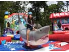Perfect for Houston birthday parties, this mechanical shark ride rental features an interactive inflatable adventure kids can't
