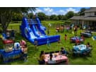 Minions Inflatable Water Slide Despicable Me Minions Parties