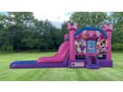 Minnie Mouse bounce house with wet or dry slide rental in Houston, ideal for The Woodlands backyard parties.