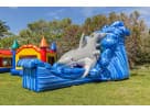 Gone Fish'n shark water slide rental in Houston—wet and dry slide with castle bounce house, ideal for Kingwood parties.
