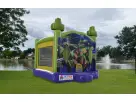 Teenage Mutant Ninja Turtles 13x13 bounce house rental in Houston with castle towers, ideal for League City parties.