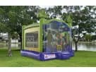 Perfect for Houston parties, this 13x13 Ninja Turtles bounce house rental features castle towers ideal for kids' events.