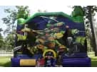 Perfect for Houston kids' parties, this 13x13 Teenage Mutant Ninja Turtles bounce house rental features vibrant green and purple