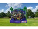 Ninja Turtle bounce house with wet/dry water slide rental in Houston, perfect for Katy birthday parties and events.