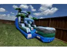 Perfect for Georgetown summer parties, this 15ft palm tree wet/dry slide rental in Austin features dual lanes ideal for kids
