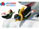 Dual-lane Arctic Plunge polar bear slide rental in Houston—perfect for winter-themed school events in Kingwood with simultaneous