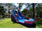 Perfect for Spring birthday parties, this unicorn water slide rental in Houston features a wet or dry design ideal for backyard