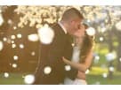 Efecto de luces románticas en renta en Austin con decoración de hadas mágicas, ideal para bodas y eventos especiales en Cedar