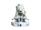 Austin Polar Bear XL Slide Rental