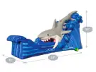 Perfect for Houston birthday parties, the Gone Fish'n shark water slide rental features a wet-and-dry 35-foot slide