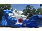 Gone Fish'n shark water slide rental in Houston with wet and dry capability, featuring giant mouth slide and wave features