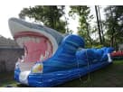 Shark-themed 30-foot slip-and-slide rental in Austin backyard with dual slides, ideal for summer parties in Leander.