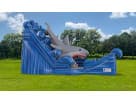 Gone Fish'n shark water slide rental in Houston with wet and dry capability, ideal for Kingwood parties.