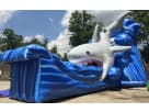 Gone Fish'n shark water slide rental in Houston with dual slides and climbing features, ideal for wet or dry backyard parties