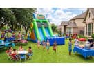 Sonic the Hedgehog Water Slide Party in Backyard