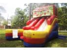 16ft Strawberry Shortcake wet and dry slide rental in Austin, perfect for Cedar Park birthday parties and summer events.