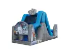 Perfect for Kingwood birthday parties, this 50ft Star Wars water slide rental in Houston features dual slides