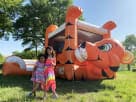 Tiger Belly wet/dry bounce house combo rental in Houston with climbing grips and slide, ideal for Sugar Land parties.
