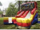 Ninja Turtles double water slide rental in Houston with wet/dry versatility, ideal for Conroe birthday parties.