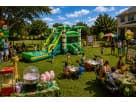 Palm Tree Bounce House Combo Rental