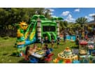 Palm Tree Bounce House Combo Rental