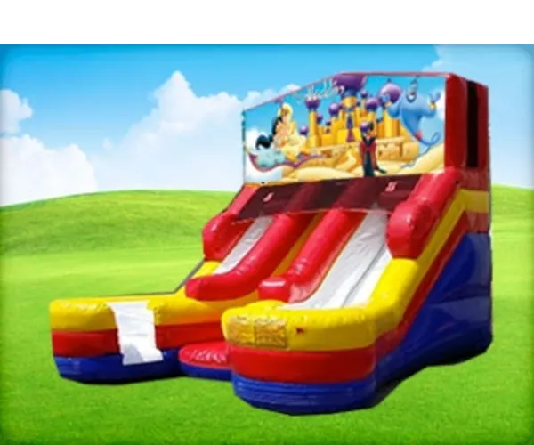 16ft Aladdin Double (Wet/Dry) Slide