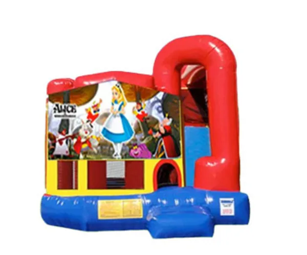 4in1 Alice in Wonderland Combo w/ (Dry or Wet/Water Slide)