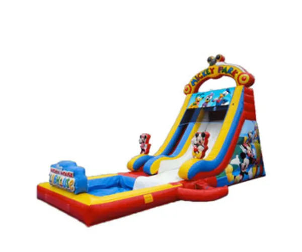 Mickey Mouse Slide (Dry/Wet) with Pool