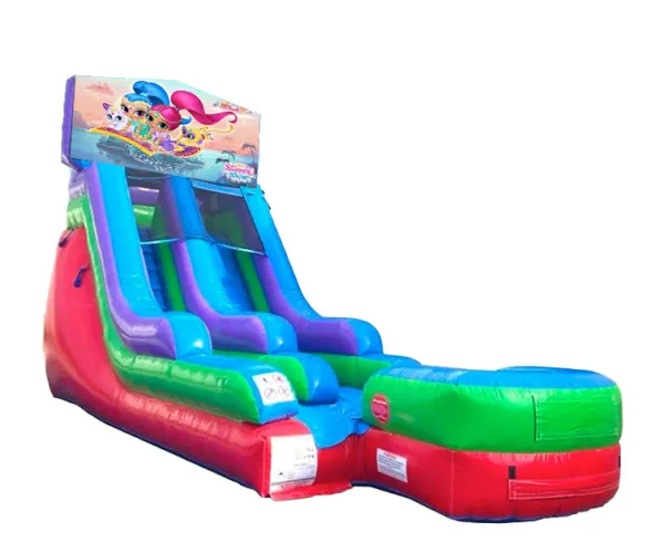 15ft Shimmer and Shine Retro Wet/Dry Slide