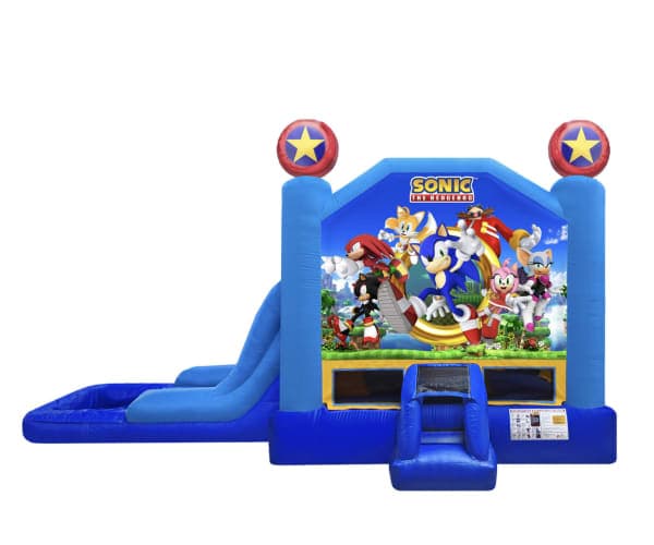 Sonic the Hedgehog EZ Combo Wet or Dry