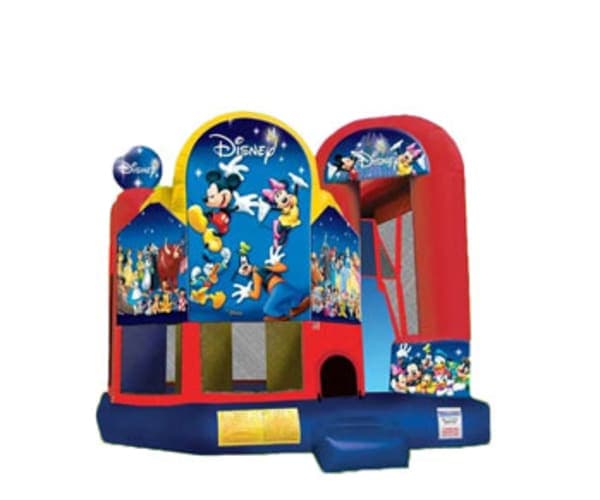 World of Disney 4in1 w/ (Wet or Dry) Slide