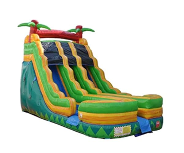 18ft Double Lane Palm Tree Water Slide