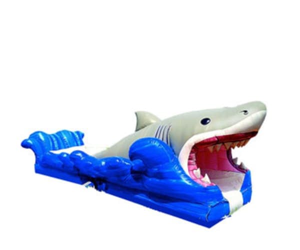 Shark Slip and Slide