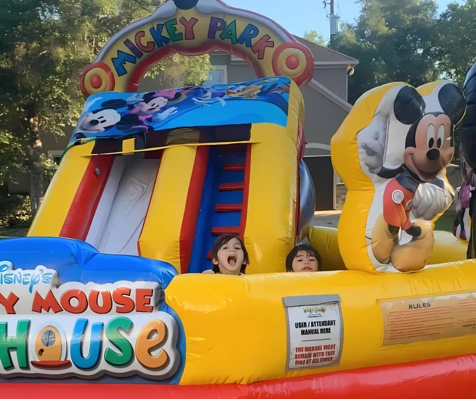Erika Mandel's Magical Mickey Mouse Adventure