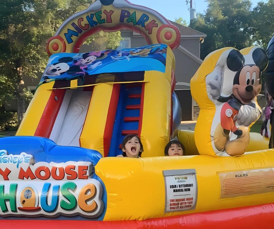 Erika Mandel's Magical Mickey Mouse Adventure