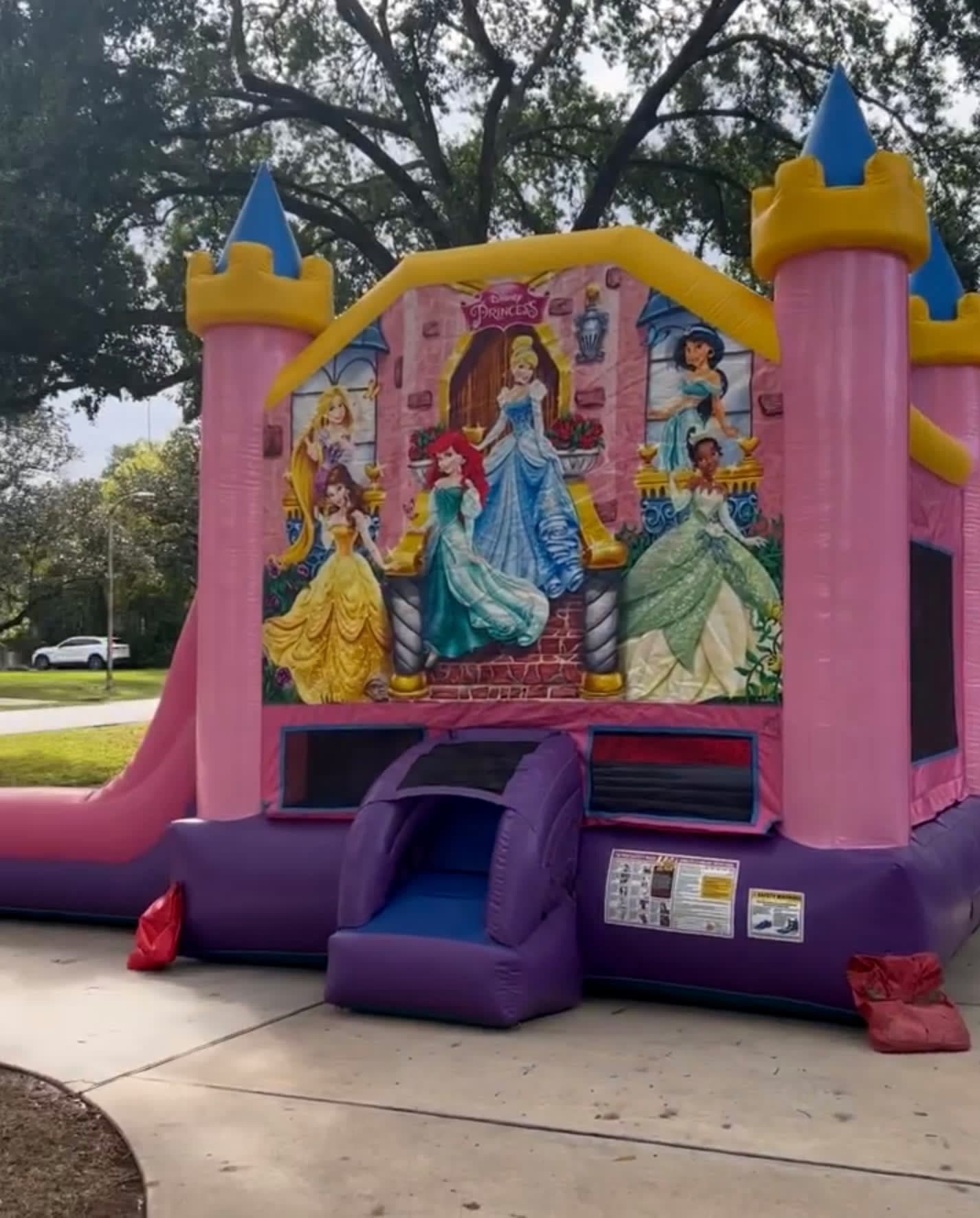 3 Year Old Princess Party