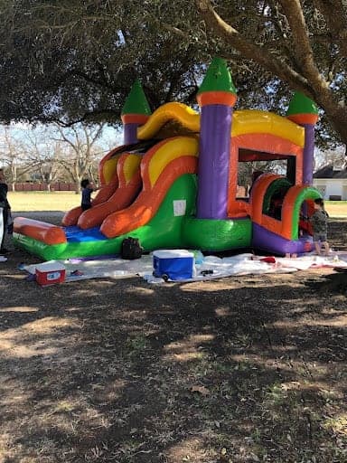 Houston Park Party!
