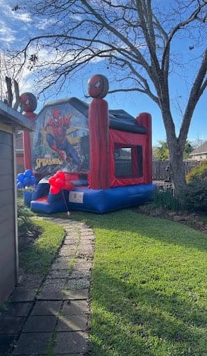 Spider Man Birthday Party!
