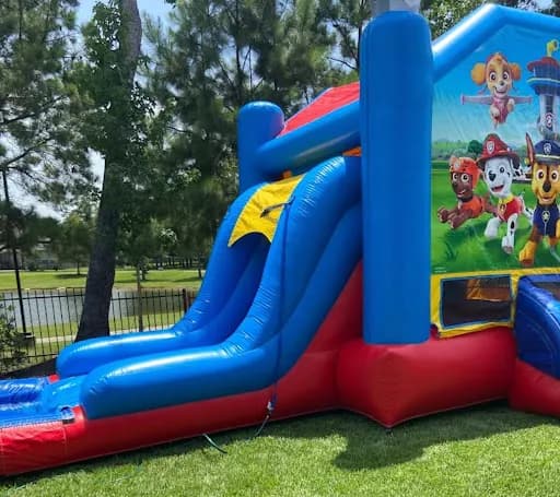 Paw Patrol Party Time!