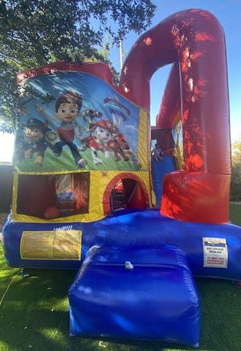 Twins Paw Patrol Party