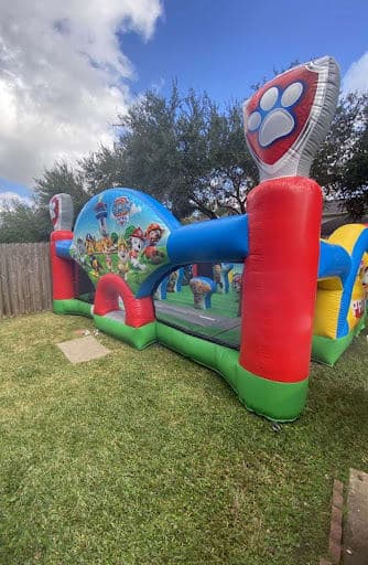 Paw Patrol Party Success!