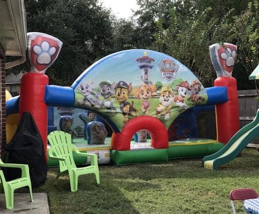 Paw Patrol Party