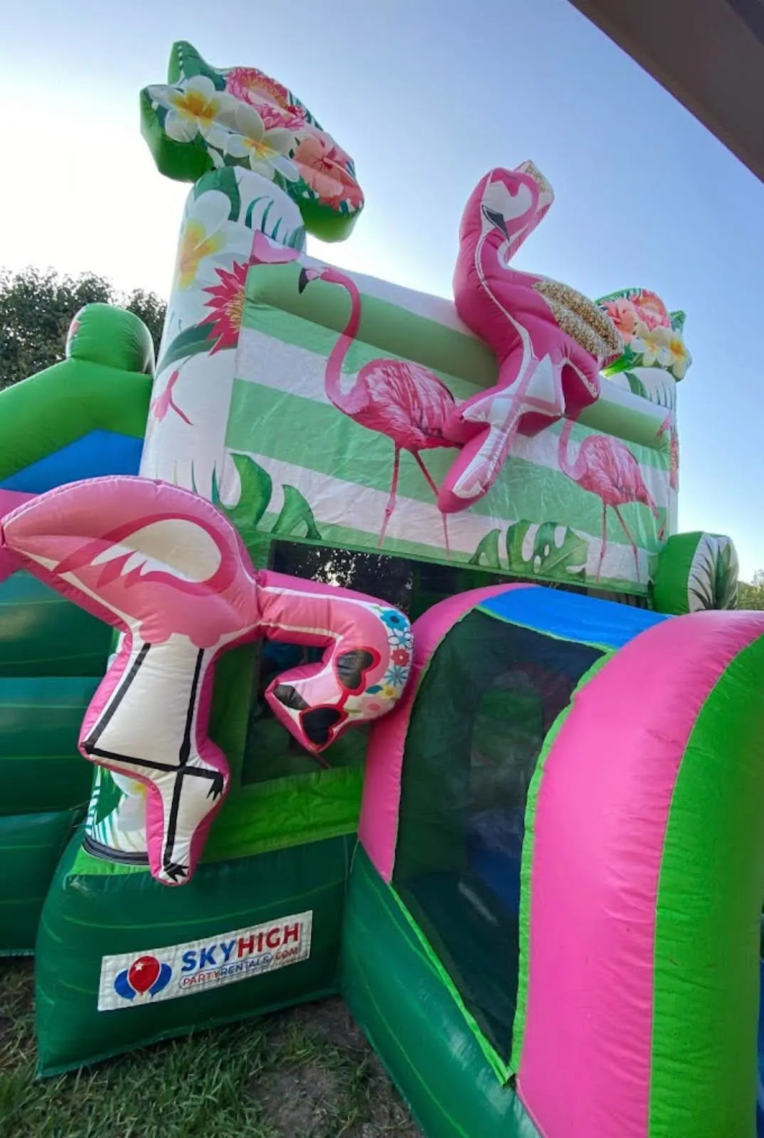 Flamingo Birthday Party