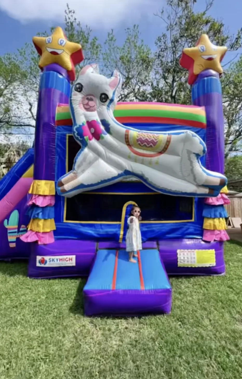 Llama Birthday Party