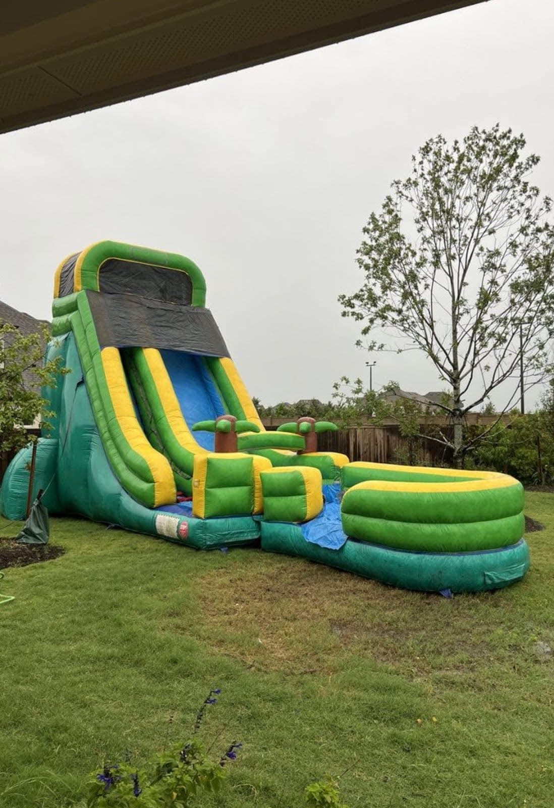 Awesome Palm Tree Water Slide Party Yelp Review