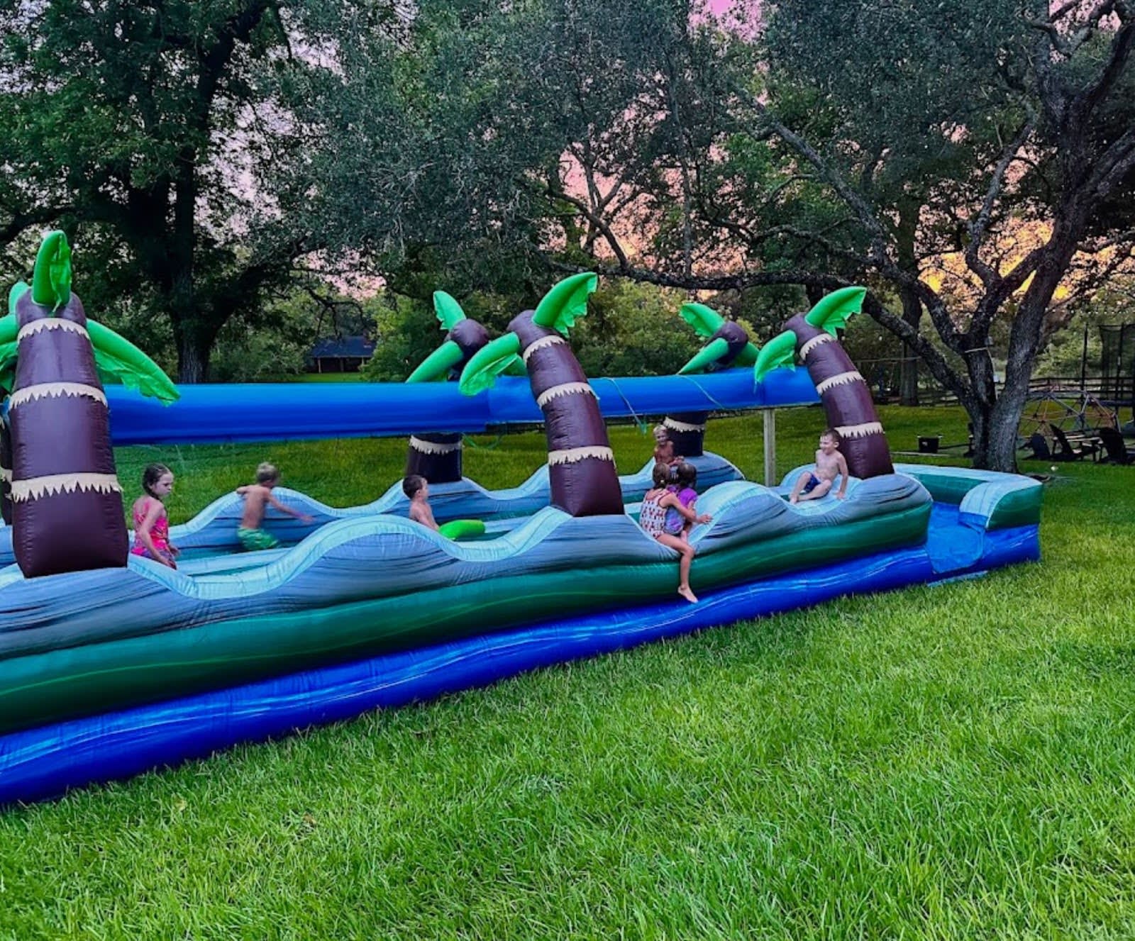 Palm Tree Water Slides Google Review